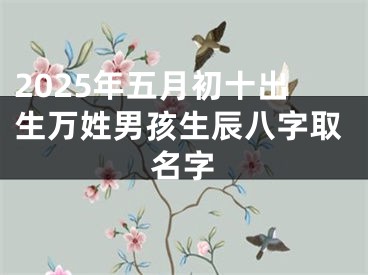 2025年五月初十出生万姓男孩生辰八字取名字