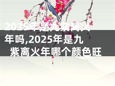 2025年是九紫离火年吗,2025年是九紫离火年哪个颜色旺