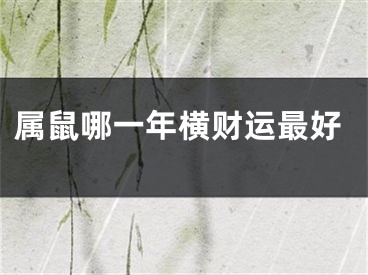 属鼠哪一年横财运最好