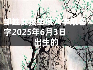 邹姓女孩生辰八字取名字2025年6月3日出生的