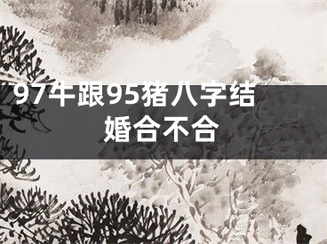97牛跟95猪八字结婚合不合