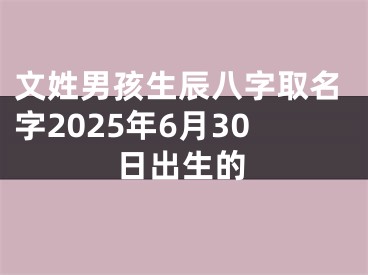 文姓男孩生辰八字取名字2025年6月30日出生的
