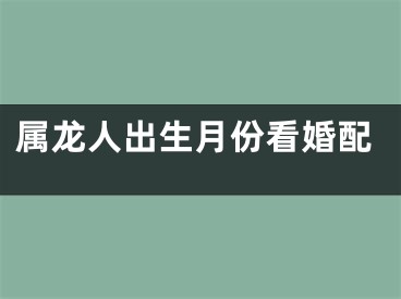 属龙人出生月份看婚配