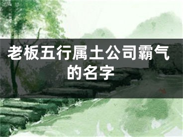 老板五行属土公司霸气的名字