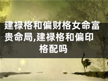 建禄格和偏财格女命富贵命局,建禄格和偏印格配吗