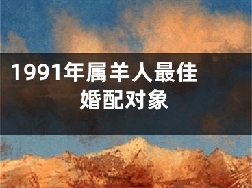 1991年属羊人最佳婚配对象