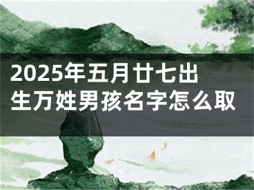 2025年五月廿七出生万姓男孩名字怎么取
