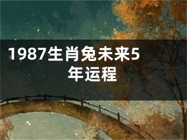 1987生肖兔未来5年运程