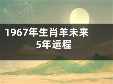1967年生肖羊未来5年运程
