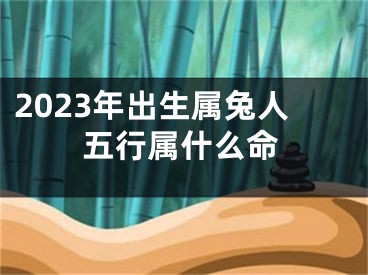 2023年出生属兔人五行属什么命