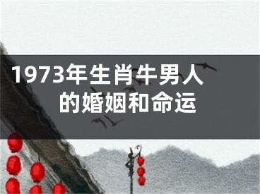 1973年生肖牛男人的婚姻和命运
