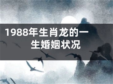 1988年生肖龙的一生婚姻状况