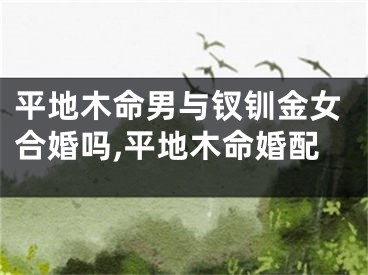平地木命男与钗钏金女合婚吗,平地木命婚配