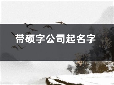 带硕字公司起名字