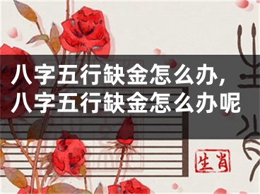 八字五行缺金怎么办,八字五行缺金怎么办呢