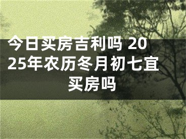 今日买房吉利吗 2025年农历冬月初七宜买房吗