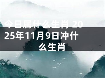 今日属什么生肖 2025年11月9日冲什么生肖