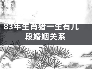 83年生肖猪一生有几段婚姻关系