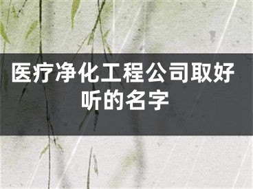 医疗净化工程公司取好听的名字
