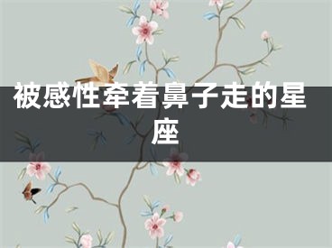 被感性牵着鼻子走的星座
