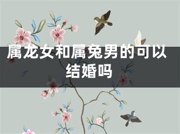 属龙女和属兔男的可以结婚吗