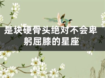 是块硬骨头绝对不会卑躬屈膝的星座