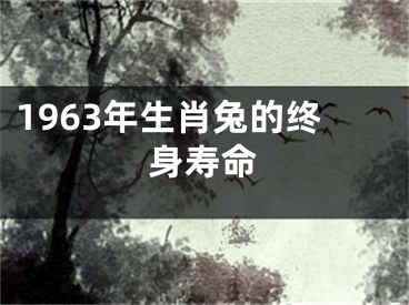 1963年生肖兔的终身寿命