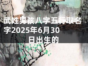 武姓男孩八字五行取名字2025年6月30日出生的