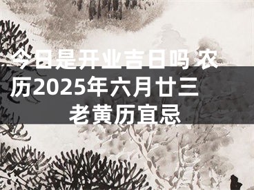 今日是开业吉日吗 农历2025年六月廿三老黄历宜忌
