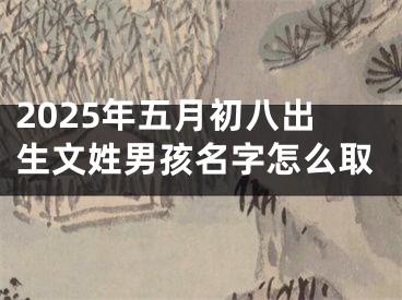 2025年五月初八出生文姓男孩名字怎么取
