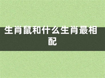 生肖鼠和什么生肖最相配