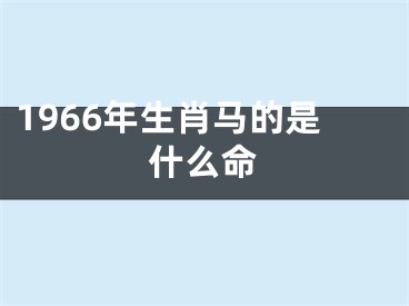 1966年生肖马的是什么命