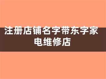 注册店铺名字带东字家电维修店