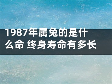 1987年属兔的是什么命 终身寿命有多长