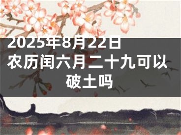 2025年8月22日农历闰六月二十九可以破土吗