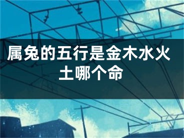 属兔的五行是金木水火土哪个命