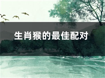 生肖猴的最佳配对