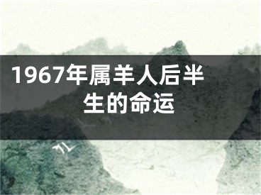 1967年属羊人后半生的命运