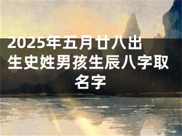 2025年五月廿八出生史姓男孩生辰八字取名字