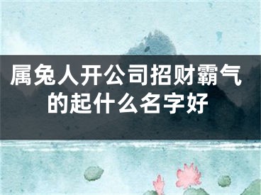 属兔人开公司招财霸气的起什么名字好