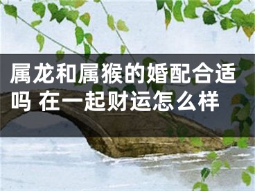 属龙和属猴的婚配合适吗 在一起财运怎么样