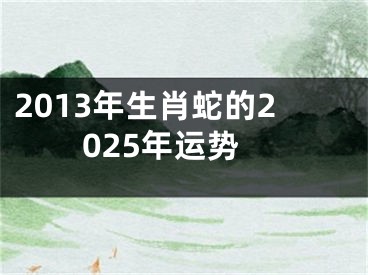 2013年生肖蛇的2025年运势