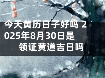 今天黄历日子好吗 2025年8月30日是领证黄道吉日吗