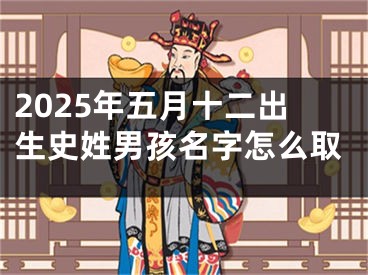 2025年五月十二出生史姓男孩名字怎么取
