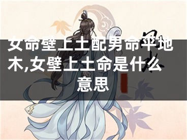 女命壁上土配男命平地木,女壁上土命是什么意思