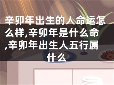 辛卯年出生的人命运怎么样,辛卯年是什么命,辛卯年出生人五行属什么