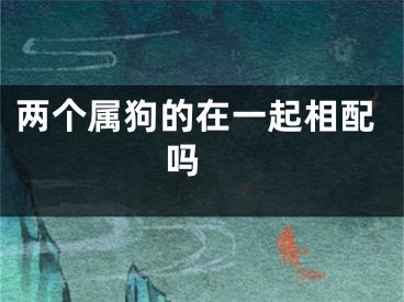两个属狗的在一起相配吗 