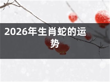2026年生肖蛇的运势