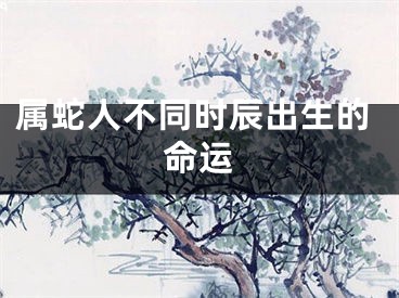 属蛇人不同时辰出生的命运
