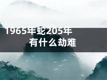 1965年蛇205年有什么劫难